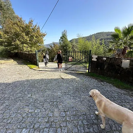 Quinta Da Conca Riverfront Douro Valley Feriehus *